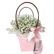 Сумочка с белой гипсофилой Сумочка с белой гипсофилой